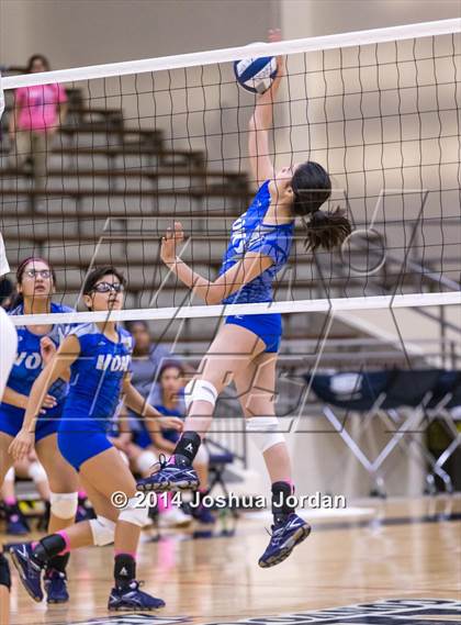 Thumbnail 1 in Lanier @ Brackenridge photogallery.