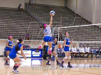 Thumbnail 1 in Lanier @ Brackenridge photogallery.