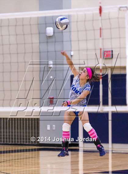 Thumbnail 3 in Lanier @ Brackenridge photogallery.