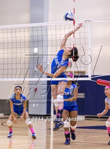 Thumbnail 1 in Lanier @ Brackenridge photogallery.