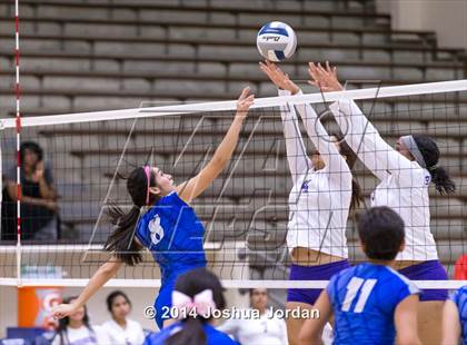 Thumbnail 1 in Lanier @ Brackenridge photogallery.