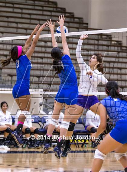 Thumbnail 3 in Lanier @ Brackenridge photogallery.
