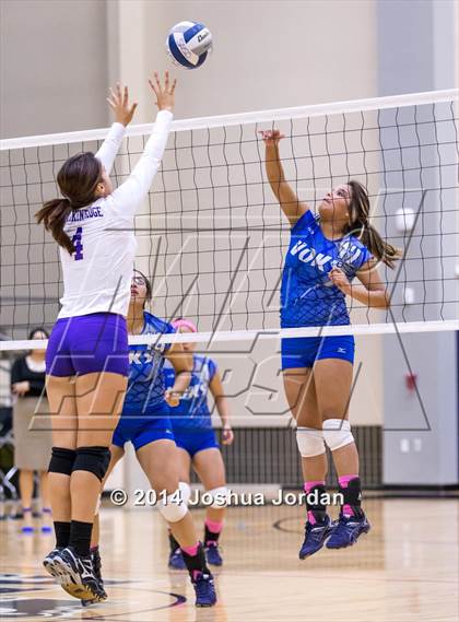 Thumbnail 3 in Lanier @ Brackenridge photogallery.