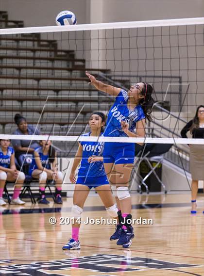 Thumbnail 3 in Lanier @ Brackenridge photogallery.