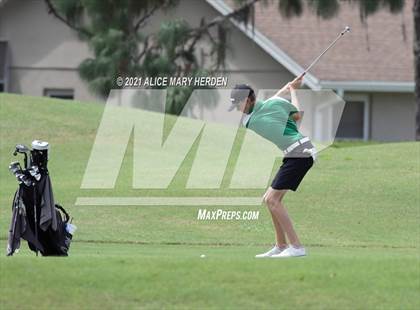 Thumbnail 1 in Springstead @ Weeki Wachee photogallery.