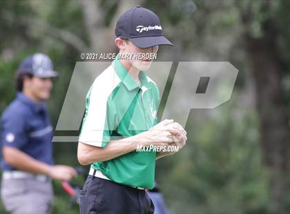 Thumbnail 1 in Springstead @ Weeki Wachee photogallery.