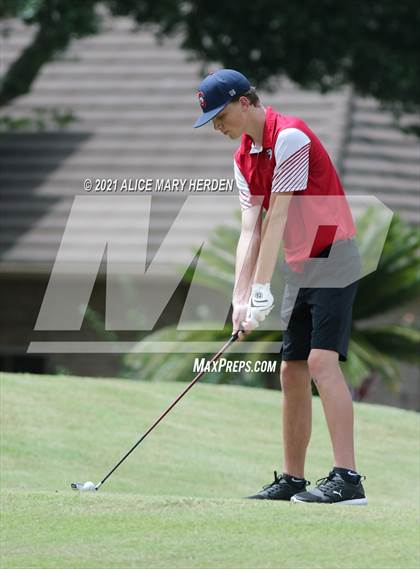 Thumbnail 3 in Springstead @ Weeki Wachee photogallery.