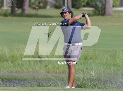 Thumbnail 3 in Springstead @ Weeki Wachee photogallery.