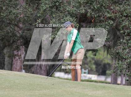 Thumbnail 1 in Springstead @ Weeki Wachee photogallery.