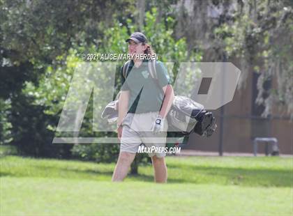 Thumbnail 2 in Springstead @ Weeki Wachee photogallery.