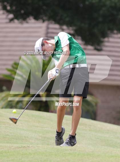 Thumbnail 2 in Springstead @ Weeki Wachee photogallery.