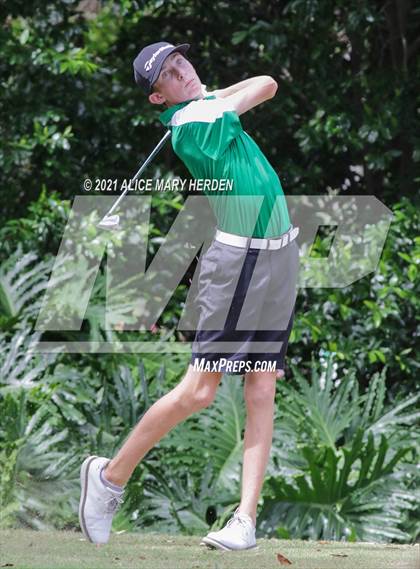 Thumbnail 1 in Springstead @ Weeki Wachee photogallery.