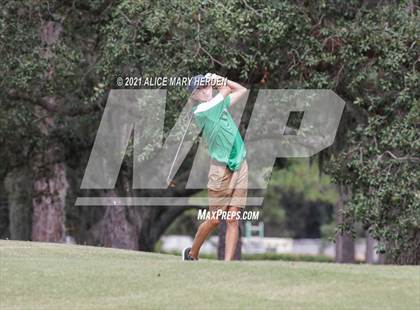 Thumbnail 1 in Springstead @ Weeki Wachee photogallery.