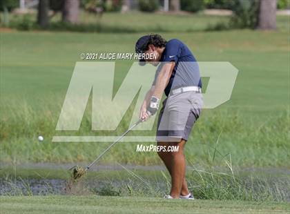 Thumbnail 2 in Springstead @ Weeki Wachee photogallery.