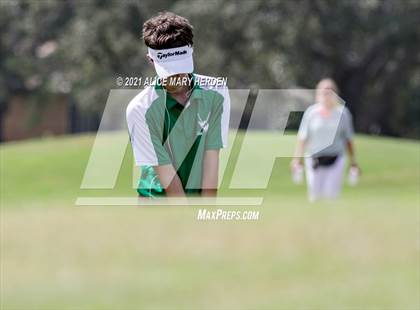 Thumbnail 1 in Springstead @ Weeki Wachee photogallery.