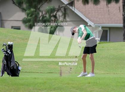 Thumbnail 2 in Springstead @ Weeki Wachee photogallery.