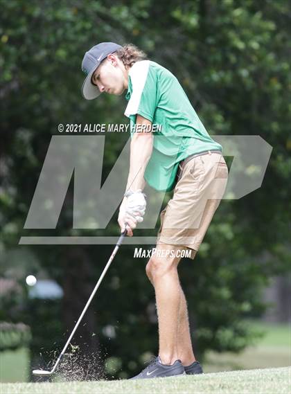 Thumbnail 1 in Springstead @ Weeki Wachee photogallery.