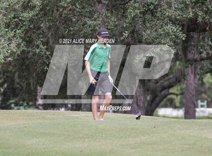 Thumbnail 1 in Springstead @ Weeki Wachee photogallery.