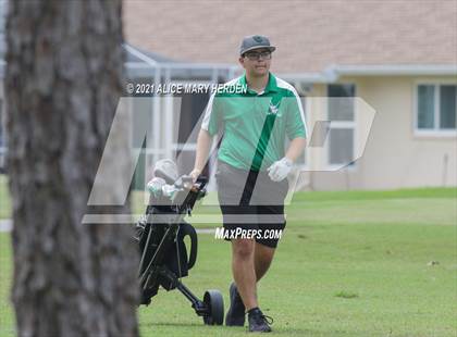 Thumbnail 2 in Springstead @ Weeki Wachee photogallery.