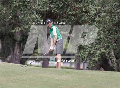 Thumbnail 2 in Springstead @ Weeki Wachee photogallery.