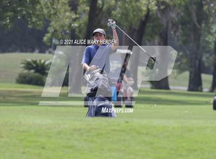 Thumbnail 3 in Springstead @ Weeki Wachee photogallery.