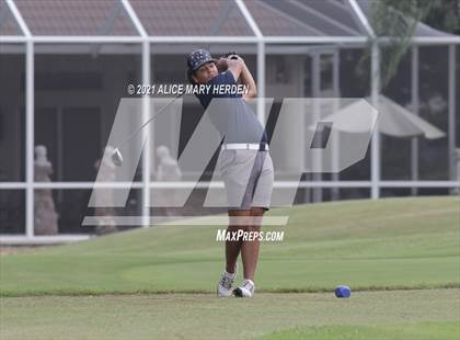 Thumbnail 1 in Springstead @ Weeki Wachee photogallery.