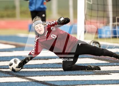 Thumbnail 1 in Monte Vista @ Davis (CIF Nor Cal Regional Championship D1) photogallery.