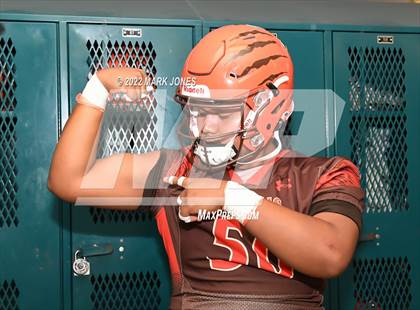 Thumbnail 1 in Browne (Team Pictures) photogallery.