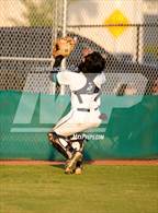 Photo from the gallery "Strawberry Crest @ Sumner"