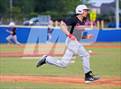 Photo from the gallery "Strawberry Crest @ Sumner"