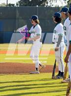 Photo from the gallery "Strawberry Crest @ Sumner"