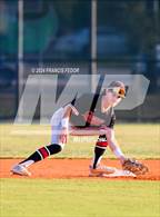 Photo from the gallery "Strawberry Crest @ Sumner"