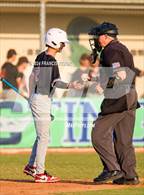 Photo from the gallery "Strawberry Crest @ Sumner"