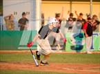 Photo from the gallery "Strawberry Crest @ Sumner"
