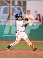 Photo from the gallery "Strawberry Crest @ Sumner"