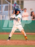 Photo from the gallery "Strawberry Crest @ Sumner"