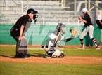 Photo from the gallery "Strawberry Crest @ Sumner"