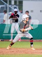 Photo from the gallery "Strawberry Crest @ Sumner"