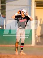 Photo from the gallery "Strawberry Crest @ Sumner"