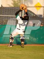 Photo from the gallery "Strawberry Crest @ Sumner"