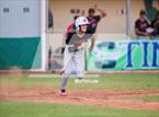 Photo from the gallery "Strawberry Crest @ Sumner"