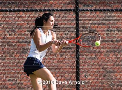 Thumbnail 1 in Brookline @ Needham photogallery.
