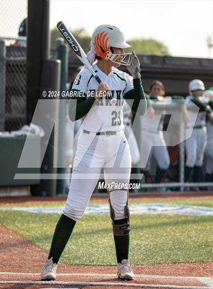 Thumbnail 1 in Harlingen South vs. Liberty Hill (UIL Softball 5A Region 2 & 4 Regional Semifinal) photogallery.