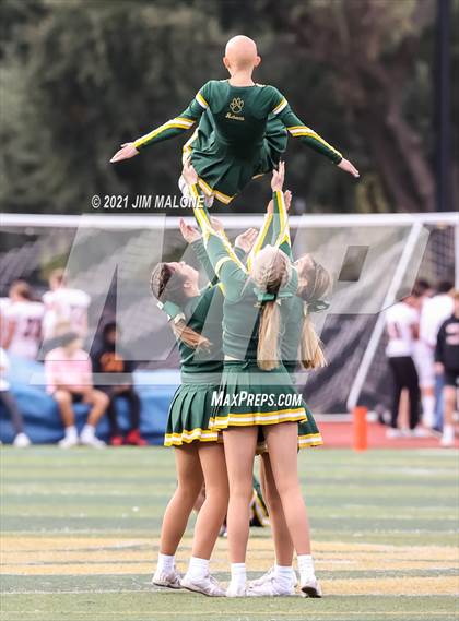 Thumbnail 2 in Monte Vista @ San Ramon Valley photogallery.