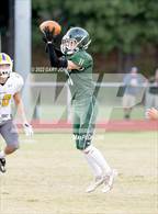 Photo from the gallery "Sutter @ Colfax"
