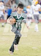 Photo from the gallery "Sutter @ Colfax"