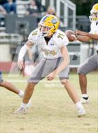 Photo from the gallery "Sutter @ Colfax"