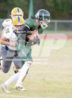 Photo from the gallery "Sutter @ Colfax"