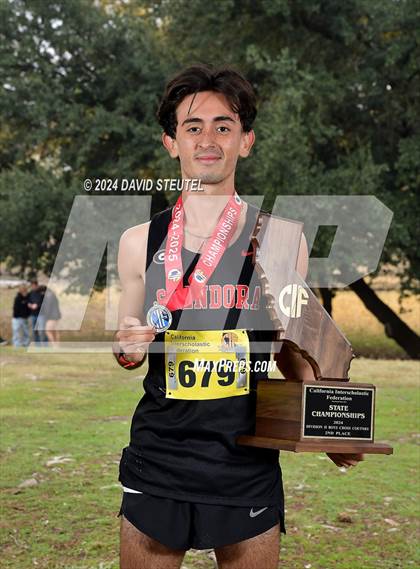Thumbnail 1 in CIF State Cross Country Championships (Boys Awards) photogallery.