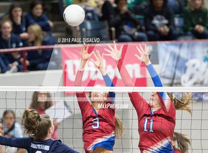 Thumbnail 2 in Cherry Creek vs. Ralston Valley (CHSAA 5A First Round) photogallery.